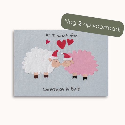 Christmas Ewes - Kerstkaart