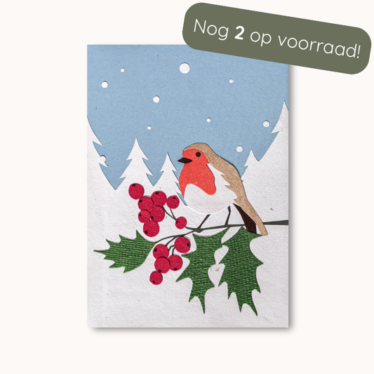 Winter Robin - Kerstkaart